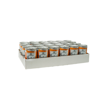 Plancha Agua Ginger Beer Britvic lata x 24 unidades 150 ml.