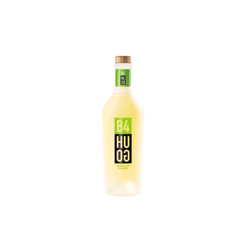 B4HUGO 700 ml.